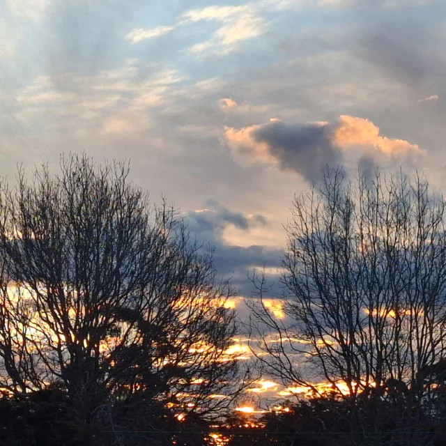 "Nature does not hurry, yet everything is accomplished." Lao Tzu

Looking up and seeing the bareness of the trees reminds us to trust the timing of our lives. Growth takes time, and rest is part of the process. 

#leadershipdevelopment
#teamdevelopment
#hrconsulting
#squarecirclecollective